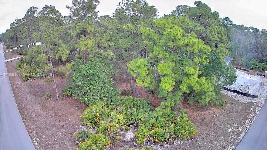 Excellent opportunity to build on this corner lot. Easy to clean. Brand new constructions homes around it. Close to Joel Blvd and State rd 80.