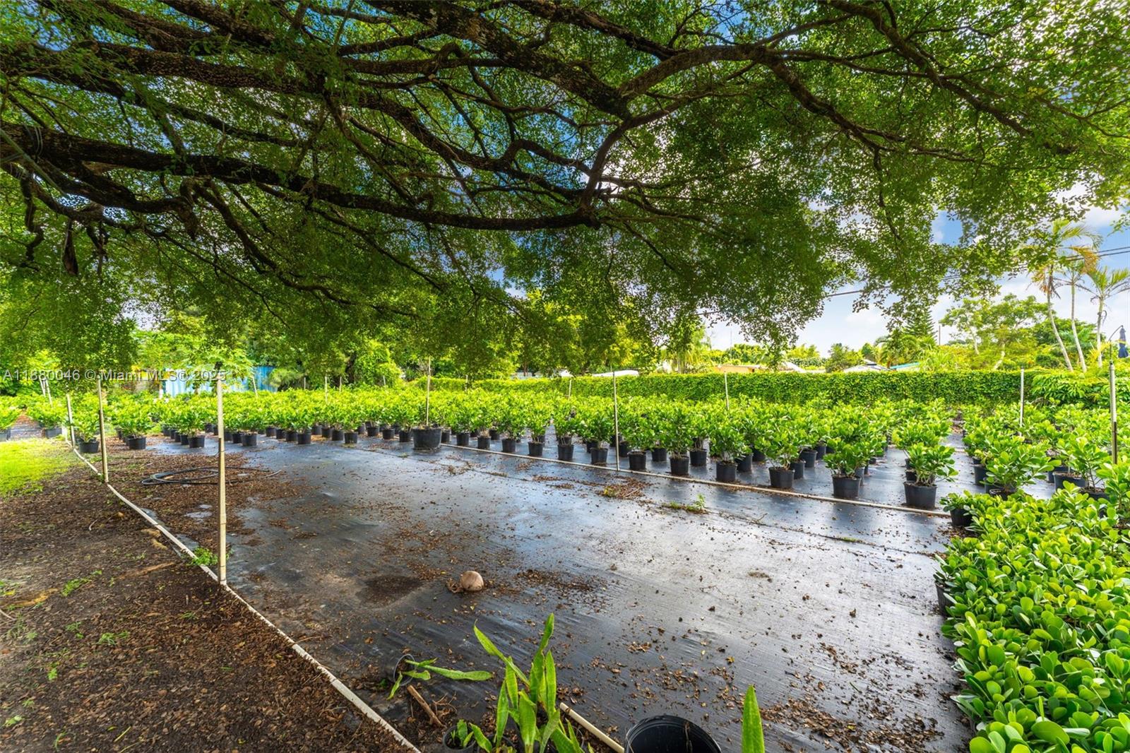 Redlands - Residential