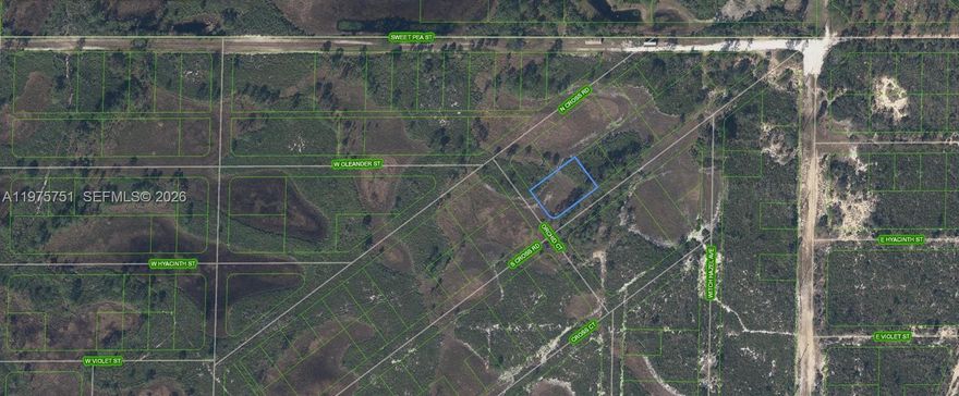 OWNER WILL FINANCE!!! HUGE CORNER DOUBLE LOT OVER 1/2 ACRE. Wildlife preserve. Great for 4X4's Camping etc. Restricted usage lot in Flamingo Gardens Subdivision. Access is through locked gate on Central Ave off of Kenilworth Blvd. OWNER WILL FINANCE!!! NO CREDIT NEEDED. 1,000 DOWN 274.81 PER MONTH FOR 36 MONTHS AT 7% INTREST.