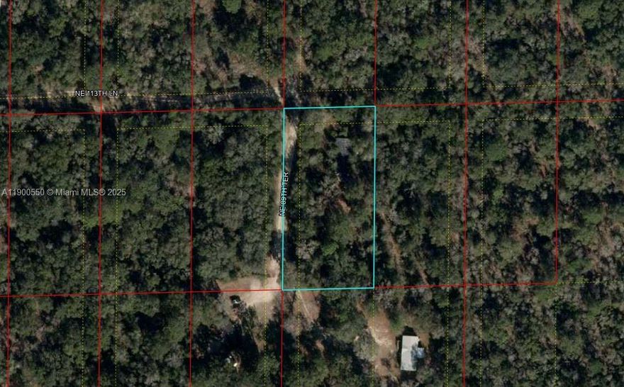 Beautiful 1.25acre vacant land located in Levy County! The property previously had a mobile home in the location so the foundation are already in place perfect for your new mobile home! Enjoy affordable taxes, negotiable price, and the benefit of being outside the flood zone. Great opportunity to own land in a peaceful area with lots of potential.