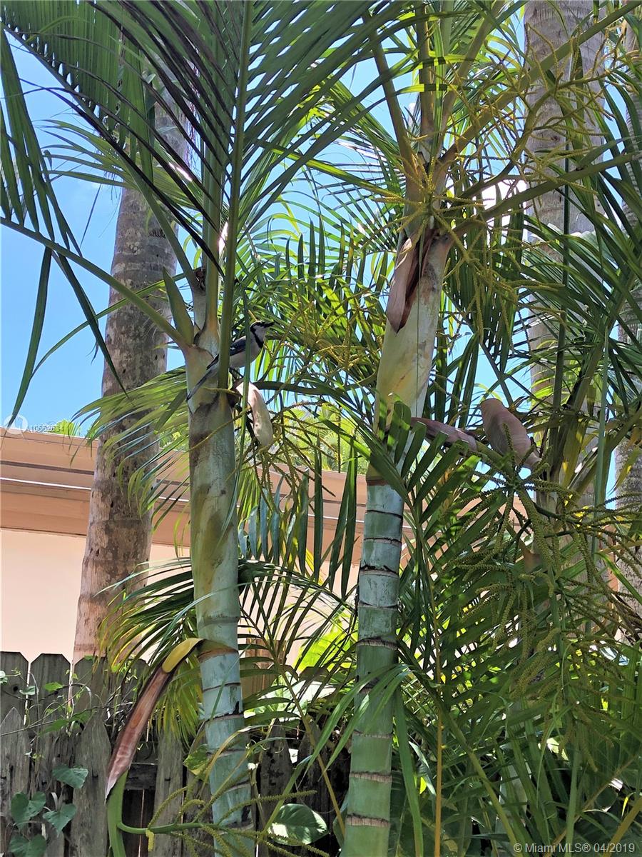 HOLLYWOOD LITTLE RANCHES - Residential