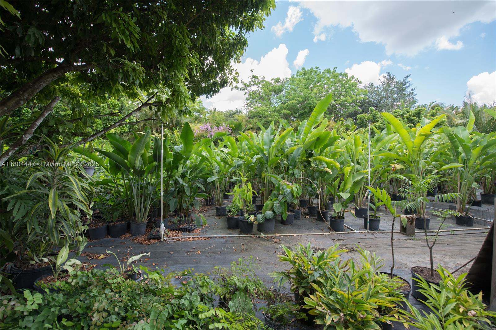 Redlands - Residential