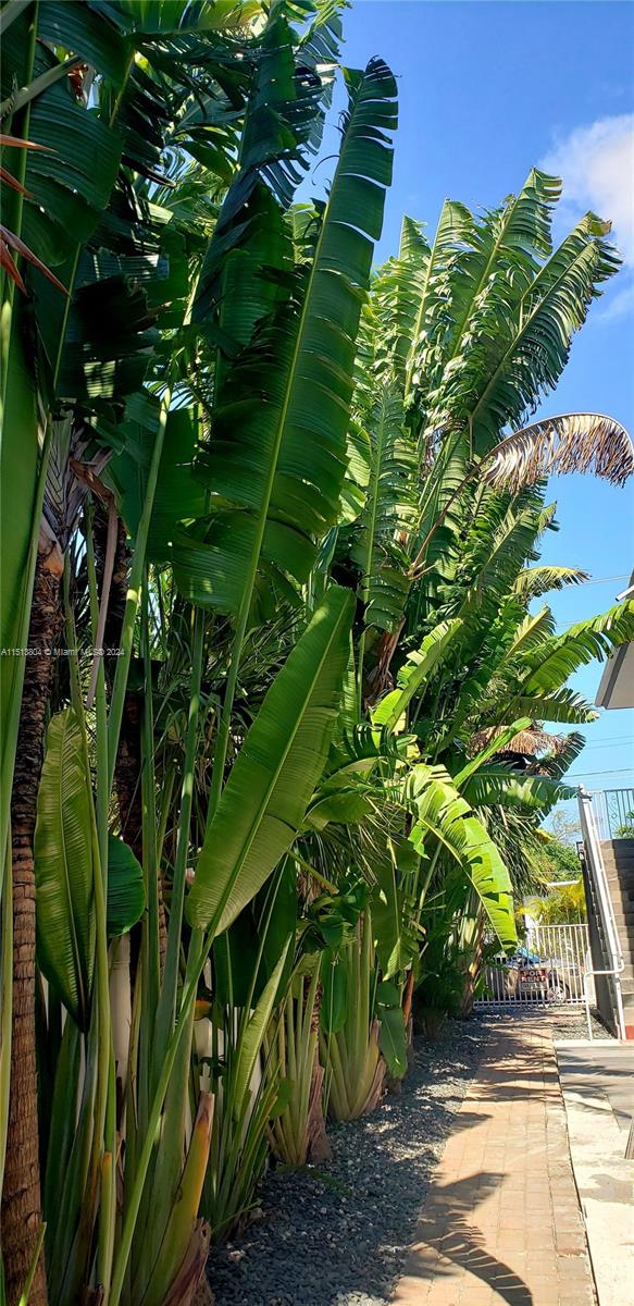 HAPPY APARTMENTS CONDO - Residential Lease