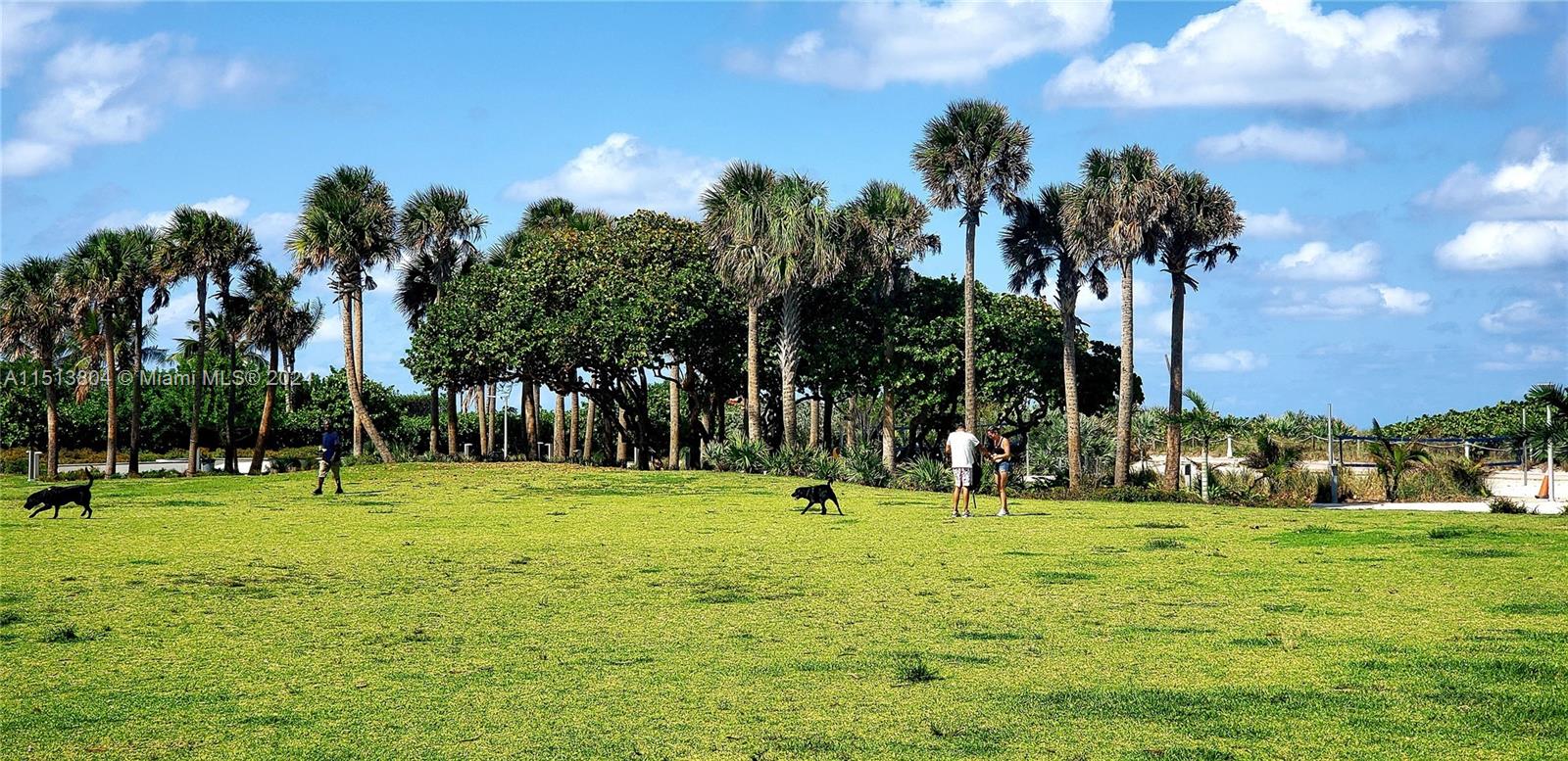 HAPPY APARTMENTS CONDO - Residential Lease