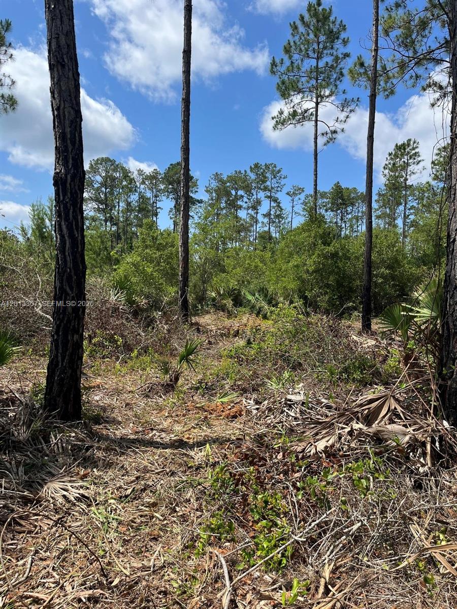 Whispering Pines - Land