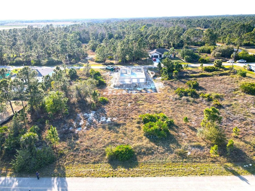 Excellent opportunity in an area with new construction homes being built. Just a short drive to Fort Myers and Punta Gorda airports, two spring training facilities and beaches!