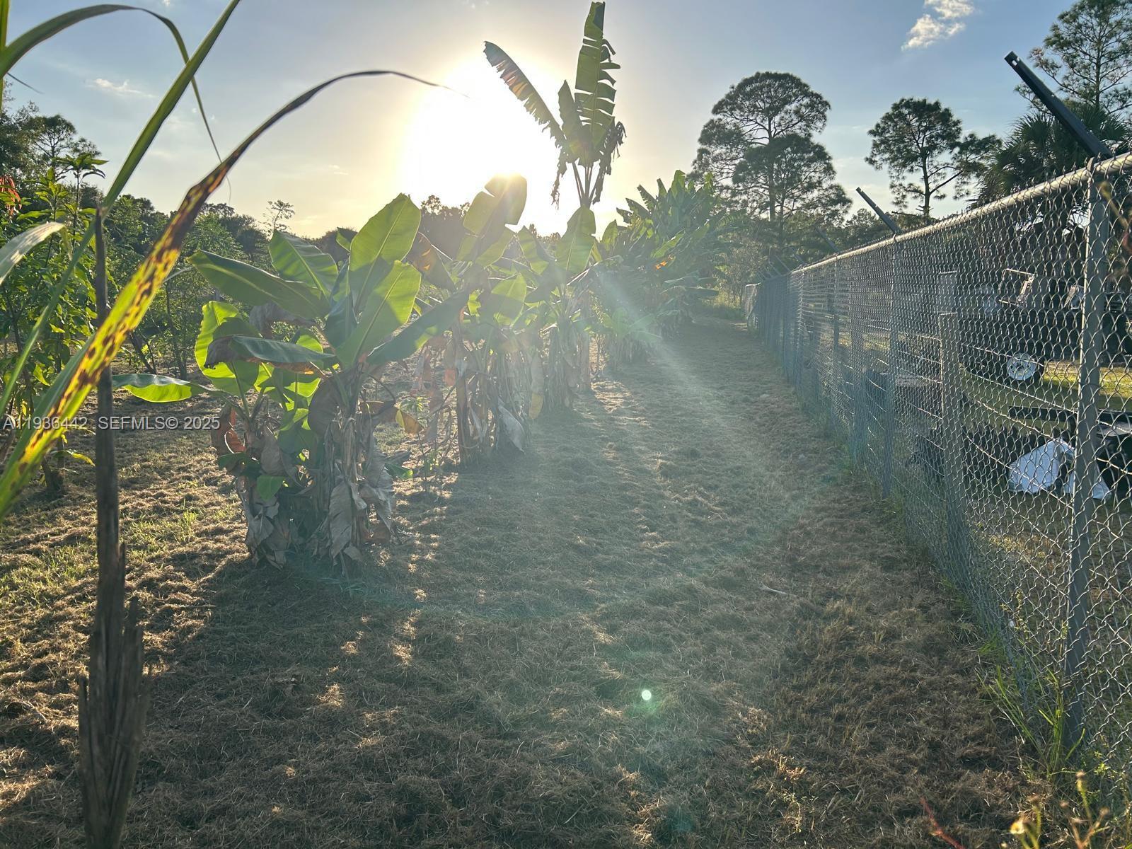 MONTURA SOUTH HALF(100804) - Land