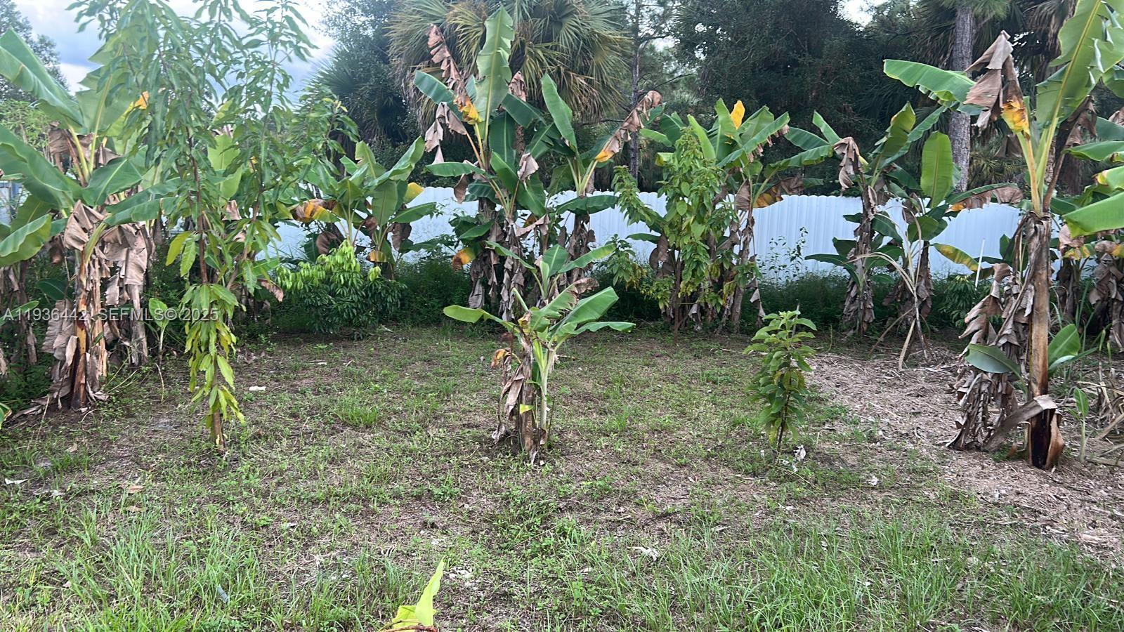 MONTURA SOUTH HALF(100804) - Land