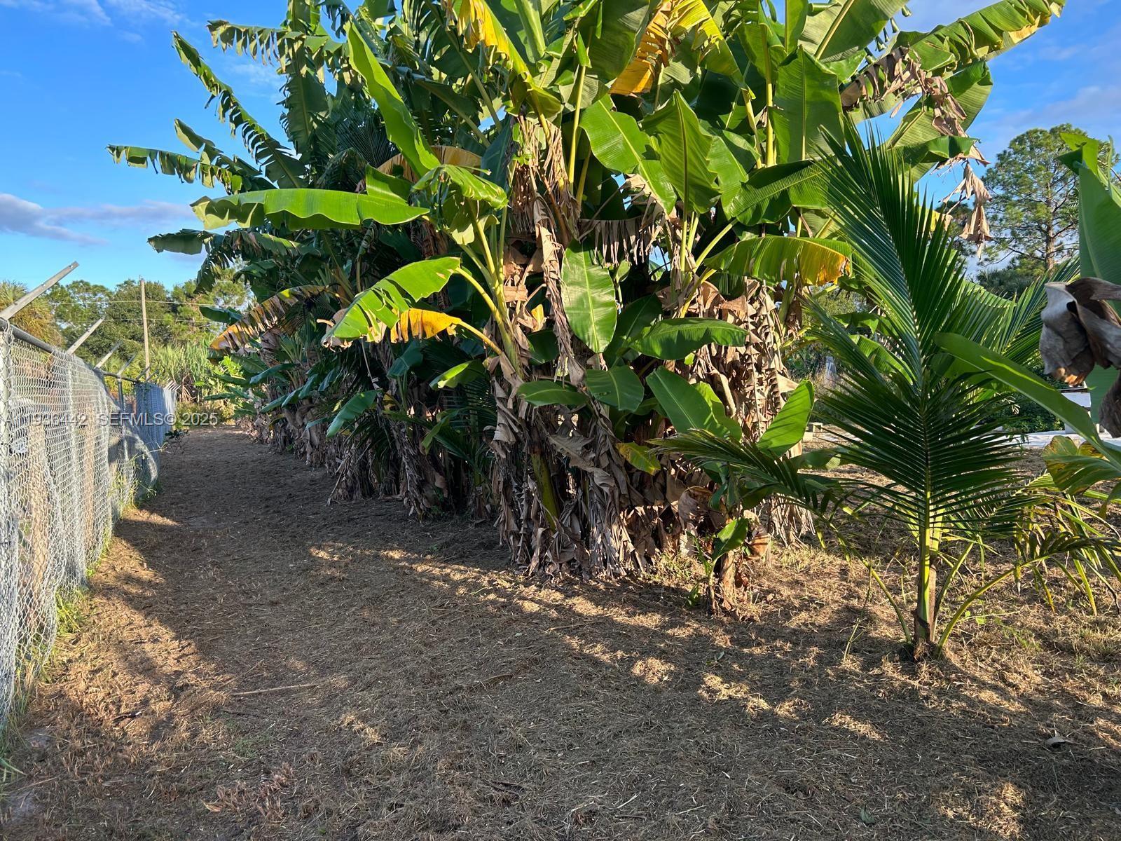 MONTURA SOUTH HALF(100804) - Land