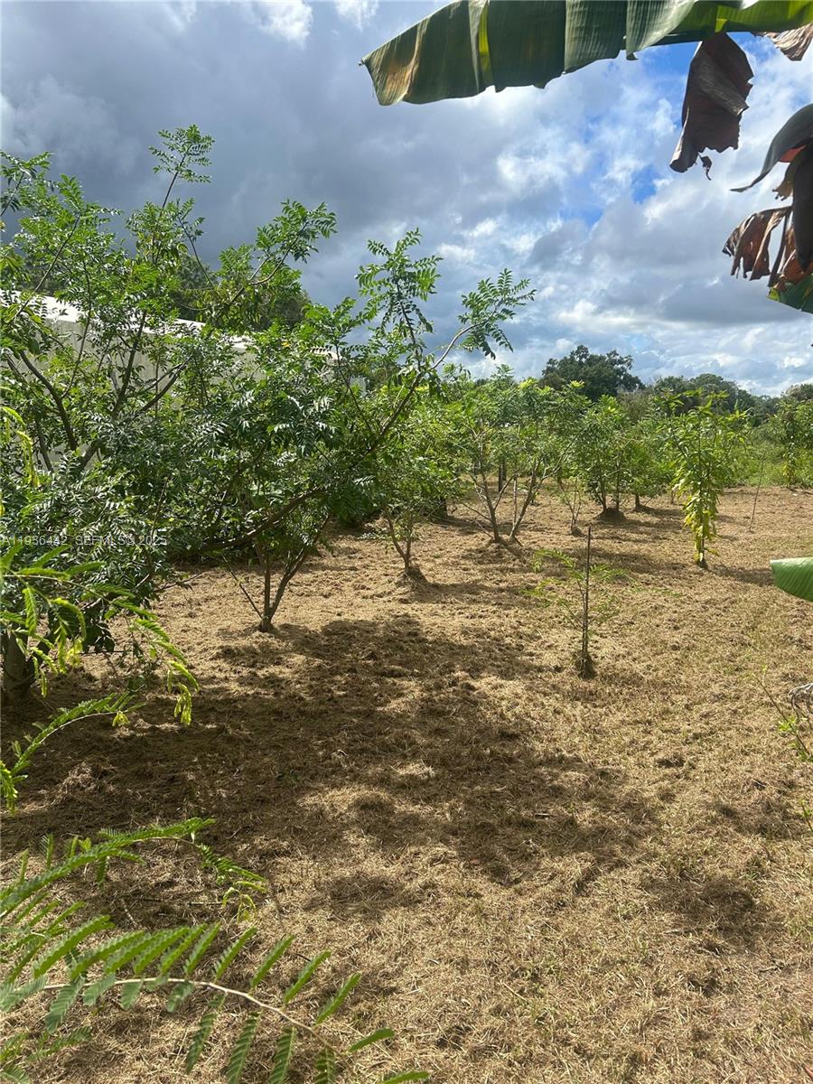 MONTURA SOUTH HALF(100804) - Land