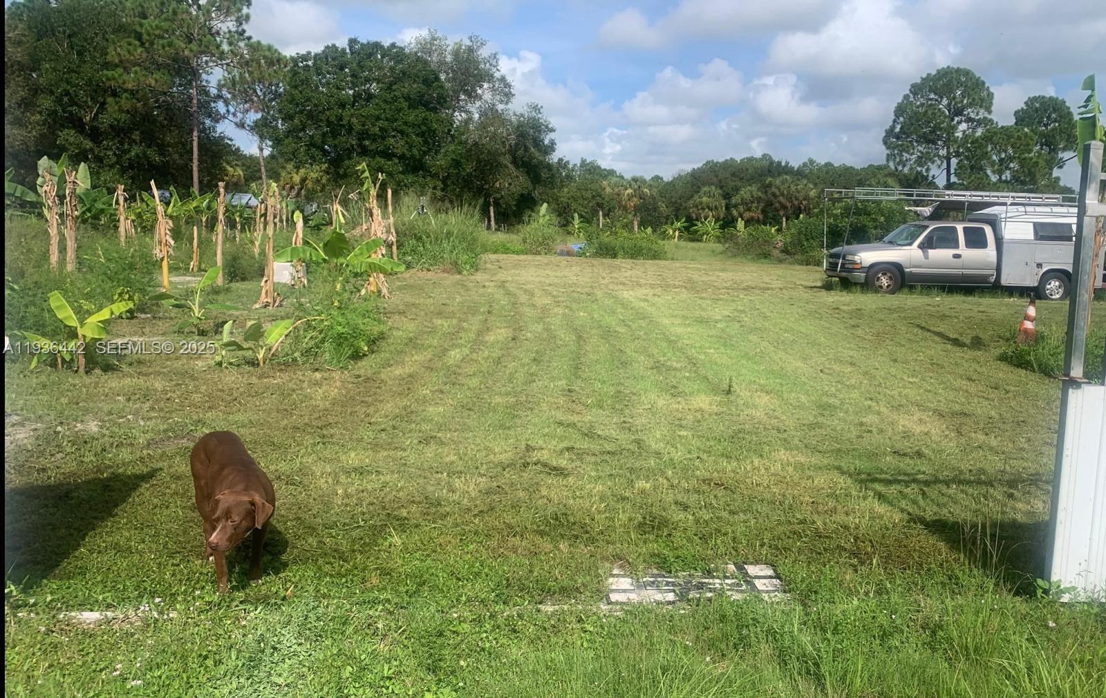 MONTURA SOUTH HALF(100804) - Land