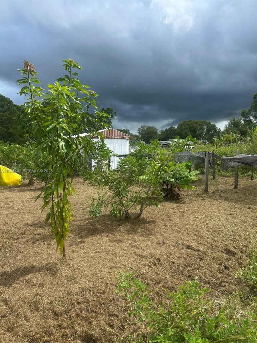 MONTURA SOUTH HALF(100804) - Land