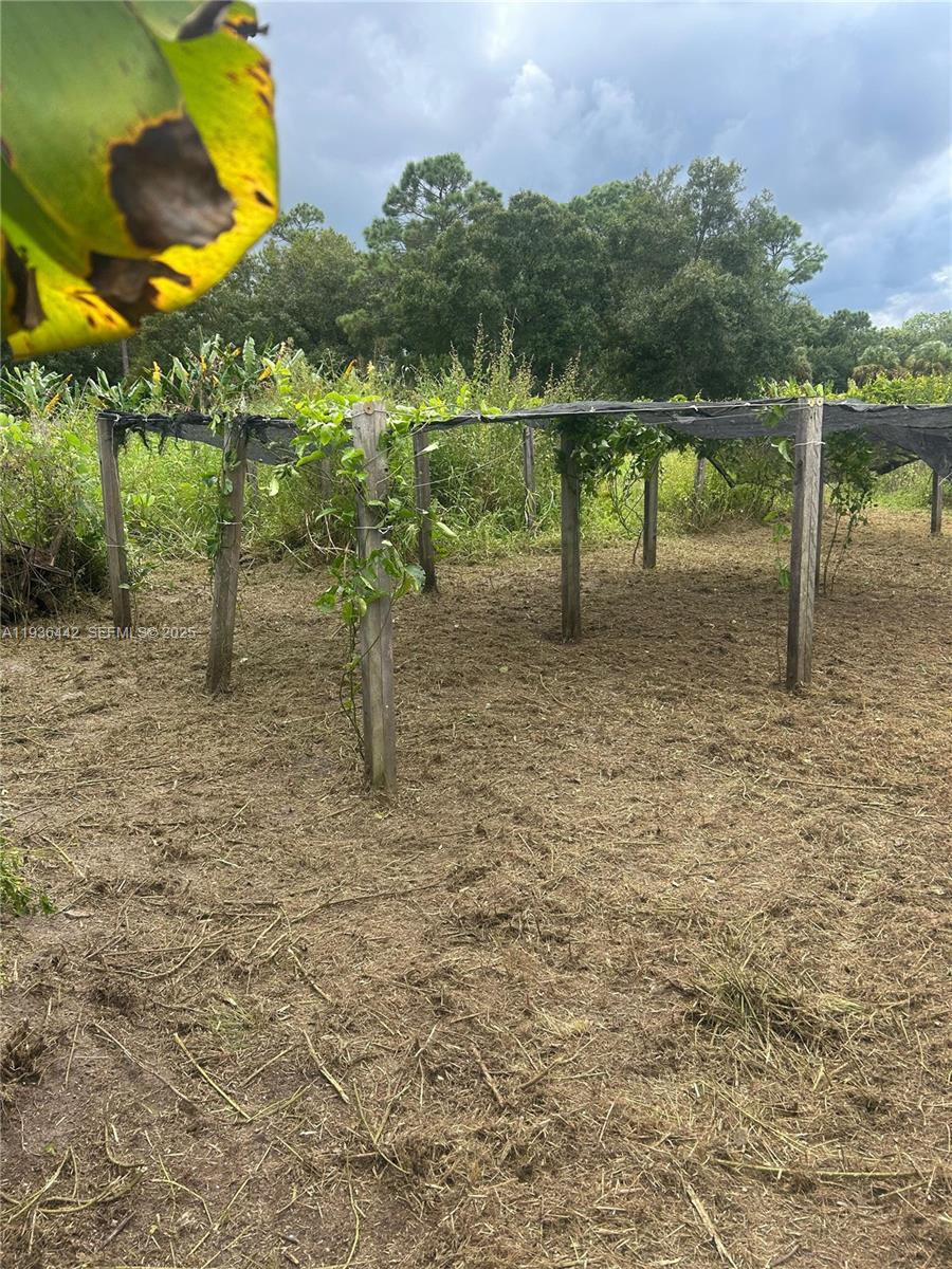 MONTURA SOUTH HALF(100804) - Land