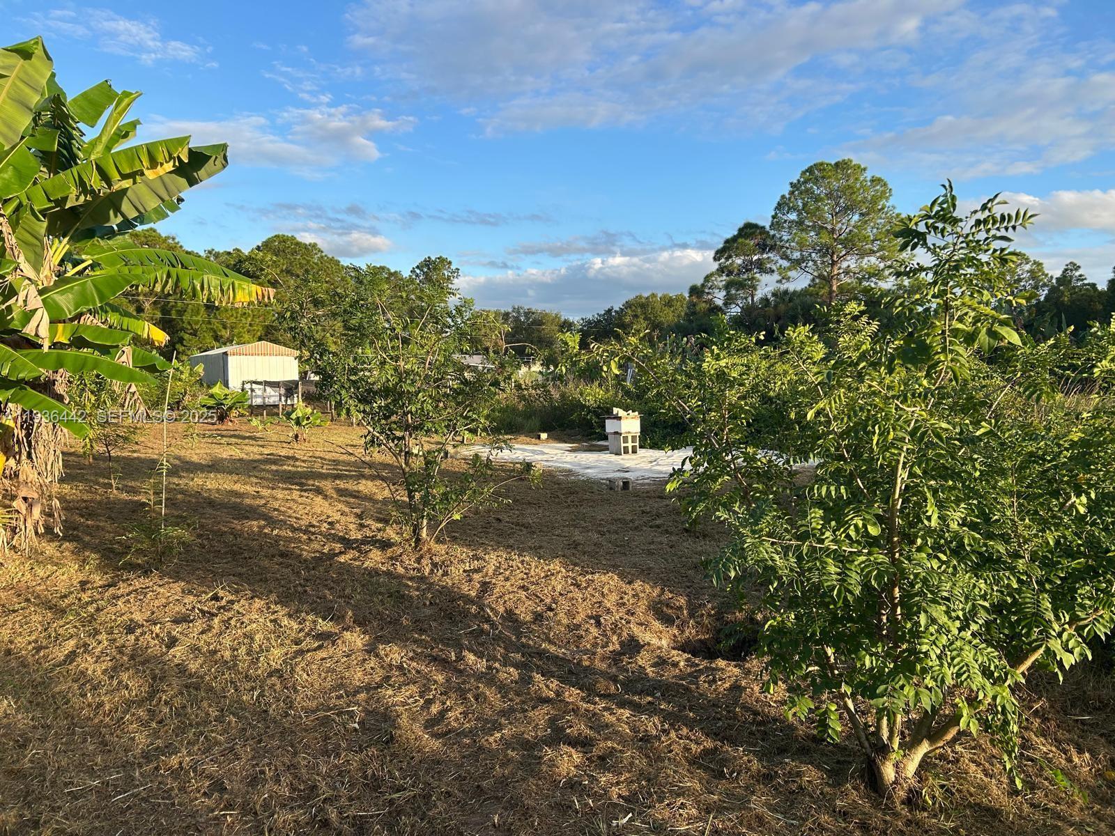 MONTURA SOUTH HALF(100804) - Land