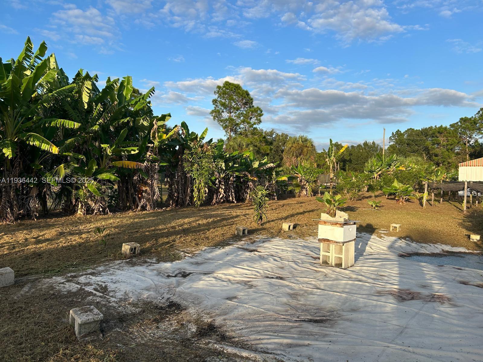 MONTURA SOUTH HALF(100804) - Land