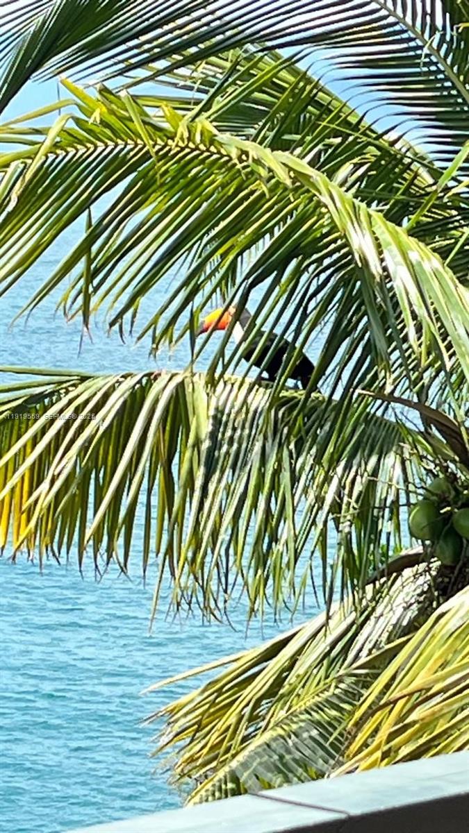 Praia do Pacuíba - Residential