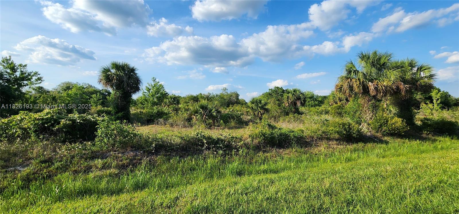 Seize the opportunity to own this 1.25-acre vacant parcel and create your dream home amidst nature's beauty. Situated a short drive from the main road, this private location is just a few miles west of Orange Ave, offering easy access to shopping, dining, I-95, and Florida's Turnpike. You can put a mobile home or perfect for building your dream house, engaging in agricultural activities, or raising cattle, this area is a paradise for outdoor enthusiasts. Whether your interests lie in fishing, hunting, agriculture, or simply enjoying seclusion, Okeechobee County offers the perfect setting for a personalized retreat. Please note that due diligence is the buyer's responsibility, and all property is sold as-is.