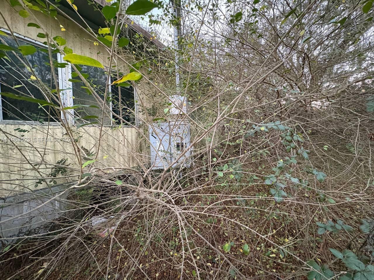 LAKE LYNNE - Residential