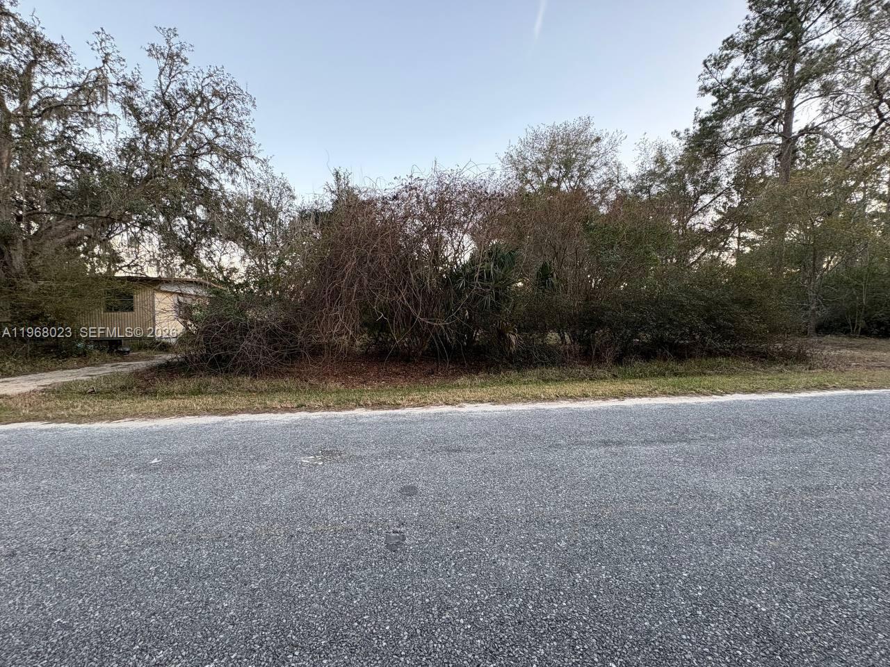 LAKE LYNNE - Residential