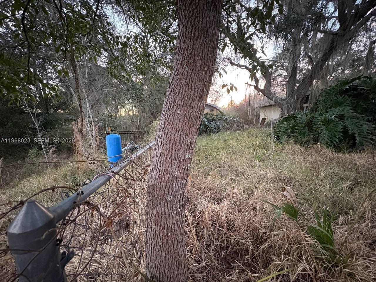 LAKE LYNNE - Residential