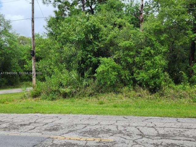 Montura Ranch Estates - Land