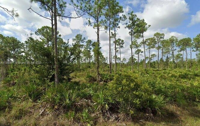 Excellent 60x120 lot in a desirable Punta Gorda neighborhood, perfect for building your dream single-family home. Surrounded by well-maintained properties, this homesite offers a peaceful atmosphere with easy access to parks, walking trails, recreational amenities and 13 min to Punta Gorda Airport. Enjoy being just minutes from shopping, dining, golf courses, and the beautiful Gulf Coast beaches, with quick connections to US-41 and I-75. An ideal opportunity for future homeowners or savvy investors.