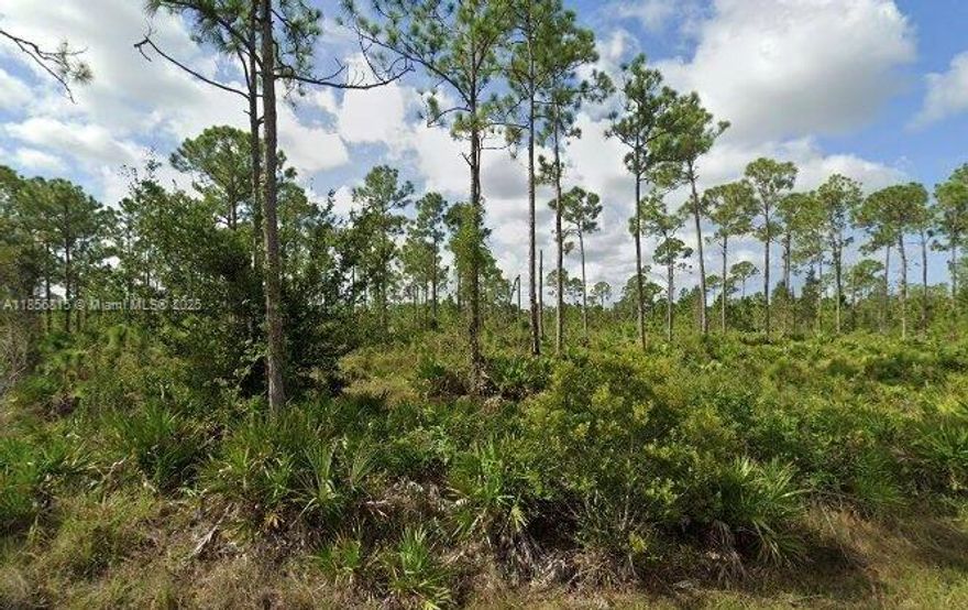 Excellent 60x120 lot in a desirable Punta Gorda neighborhood, perfect for building your dream single-family home. Surrounded by well-maintained properties, this homesite offers a peaceful atmosphere with easy access to parks, walking trails, recreational amenities and 13 min to Punta Gorda Airport. Enjoy being just minutes from shopping, dining, golf courses, and the beautiful Gulf Coast beaches, with quick connections to US-41 and I-75. An ideal opportunity for future homeowners or savvy investors.