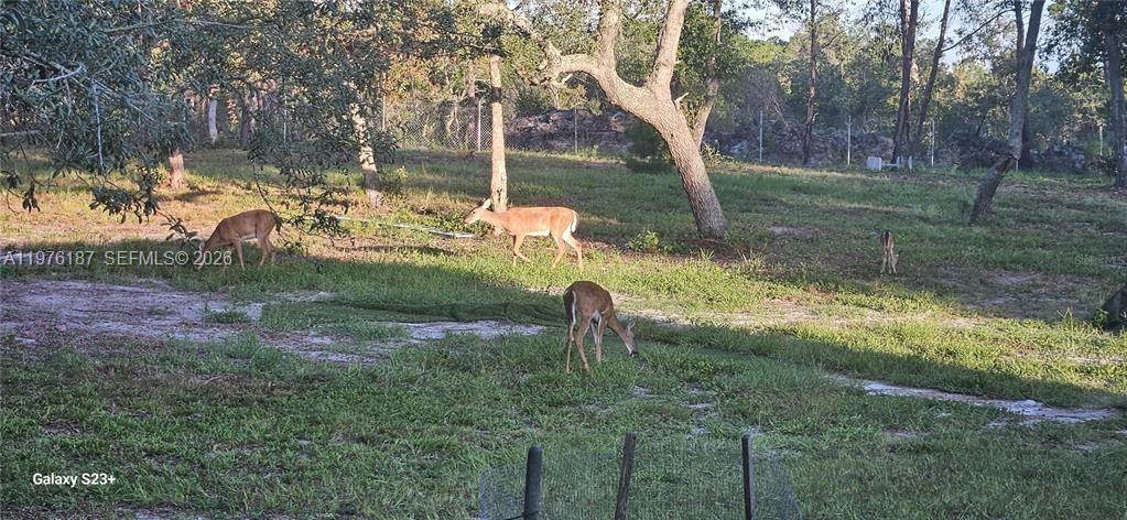 EUSTIS - Residential