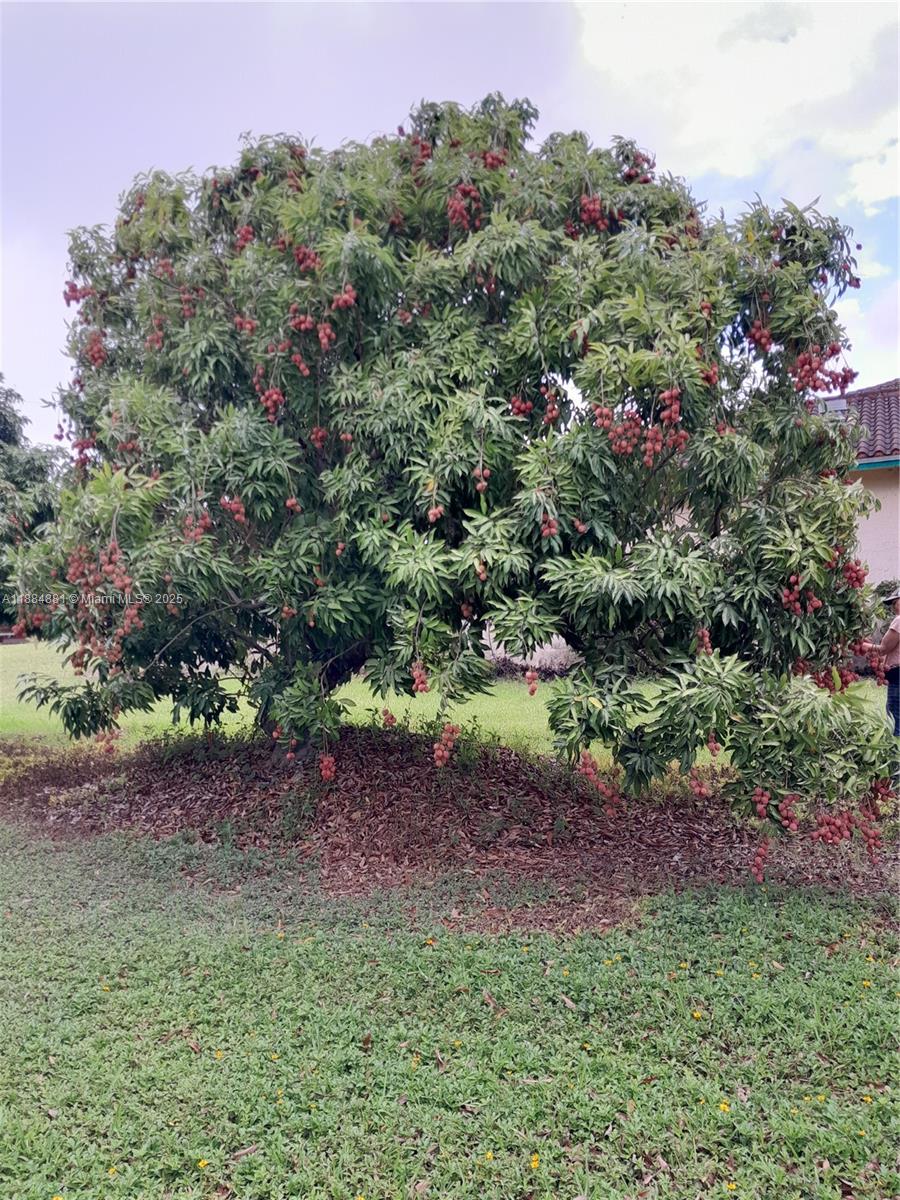 10 acre home/lychee grove - Residential