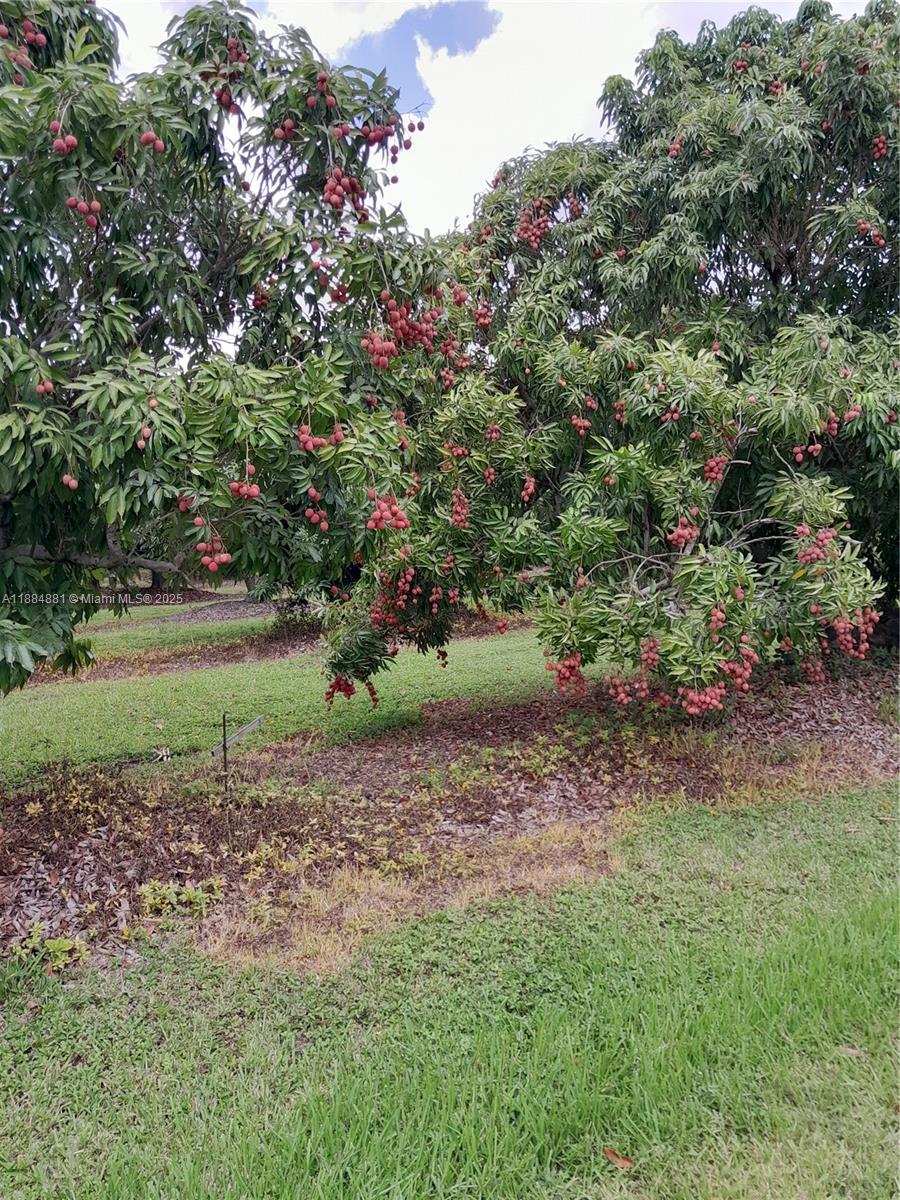 10 acre home/lychee grove - Residential