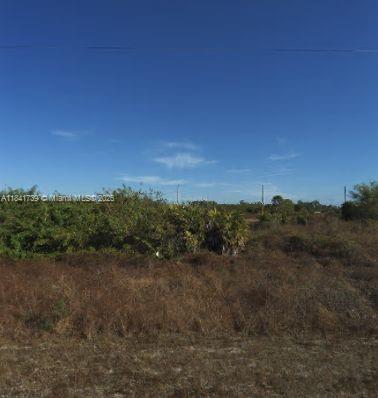 THIS PARCEL CONSISTS OF TWO SIDE BY SIDE LOT TOTALING ALMOST 1/2 ACRE. THOT HAS BEEN PARTIALLY CLEARED. THIS IS A GREAT INVESTMENT OPPORTUNITY TO OWN A NICE PIECE OF LAND IN AN ALREADY DEVELOPED AREA OR PURCHASE THIS PROPERTY TO BUILD YOUR DREAM HOME.