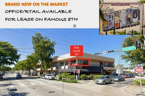 1101 SW 8th St 203 Miami FL 33130