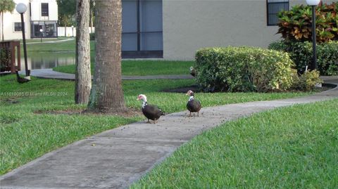 A home in Tamarac