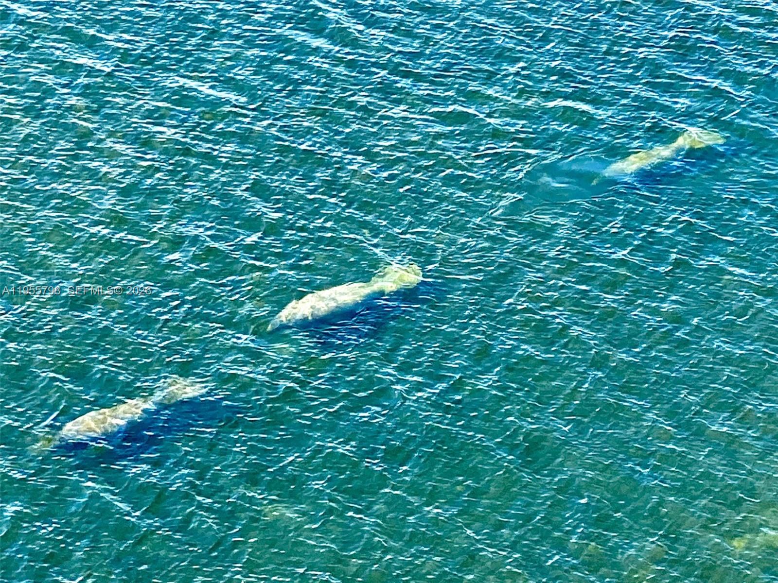 BRICKELL HARBOUR CONDO - Residential