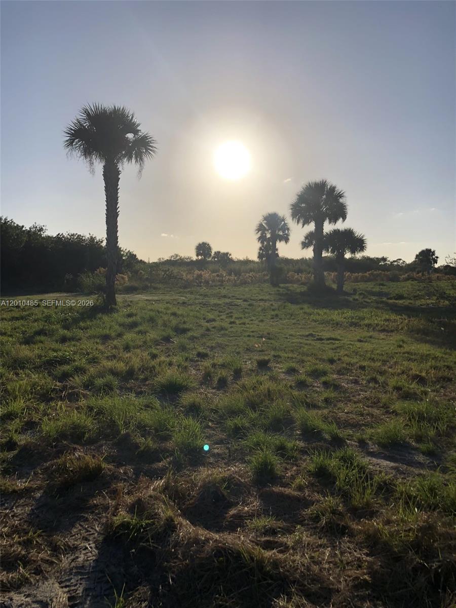 Sunset Grove - Land
