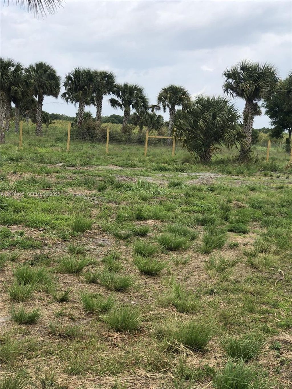 Photo of Indian Town, FL 34956 (MLS # A12010485)