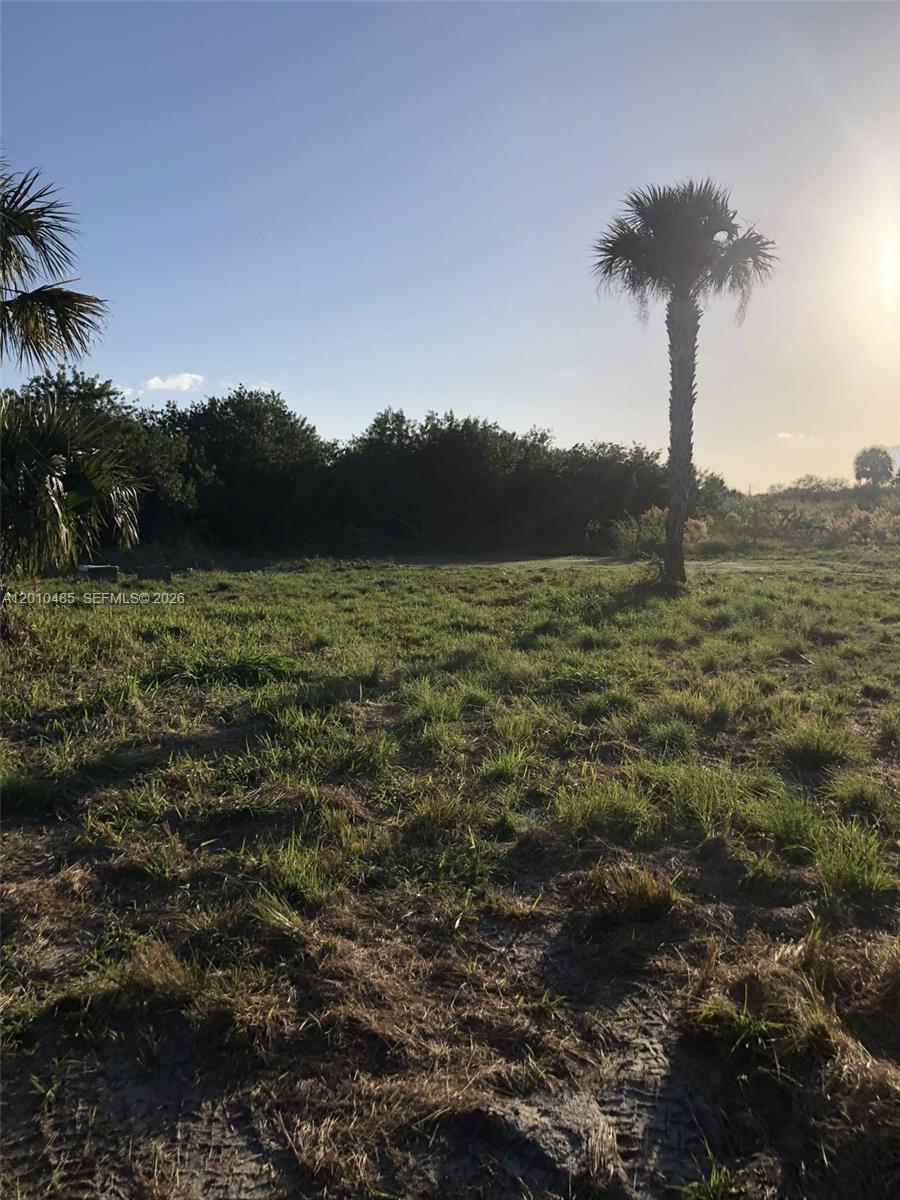 Sunset Grove - Land