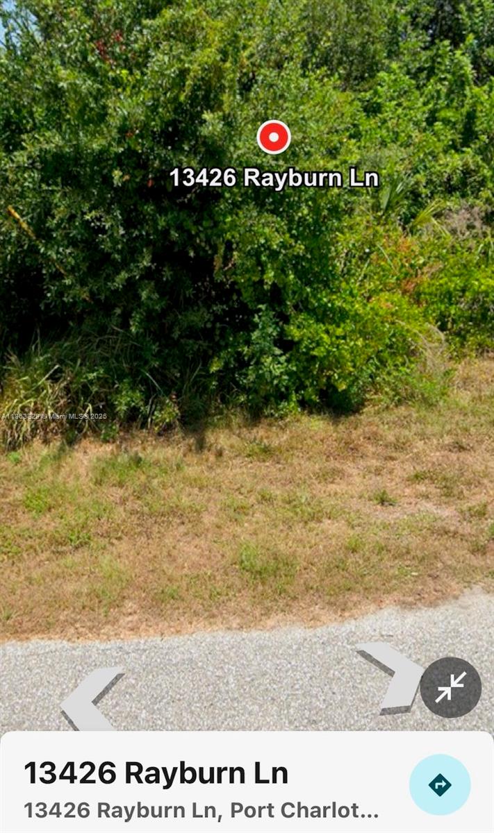 13436 Rayburn