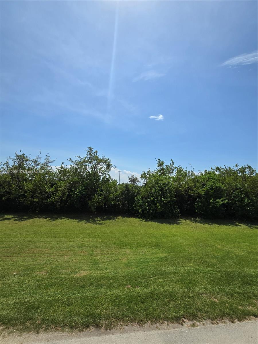 PALM VILLAGE CLUB CONDO - Residential