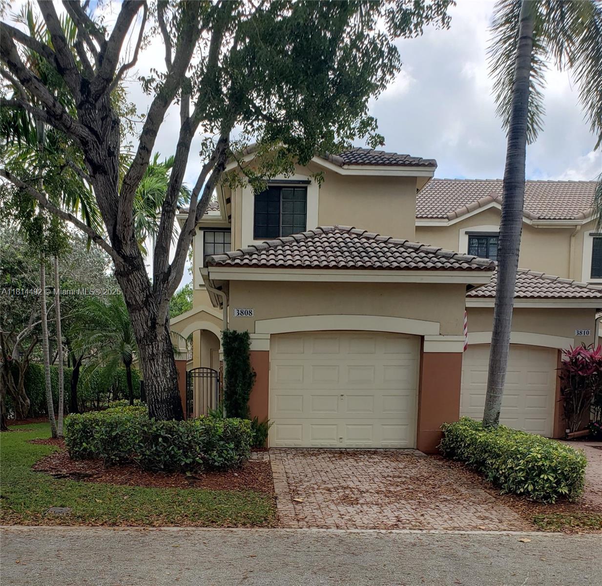 3808 Tree Top Dr 3808