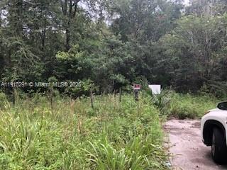 FLEMINGTON ACRES - Land