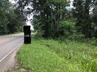 19220 N HIGHWAY 329, MICANOPY, FL 32667 - Image aeca9856cfdea65e14fc9c4d46f3e210/3922899528