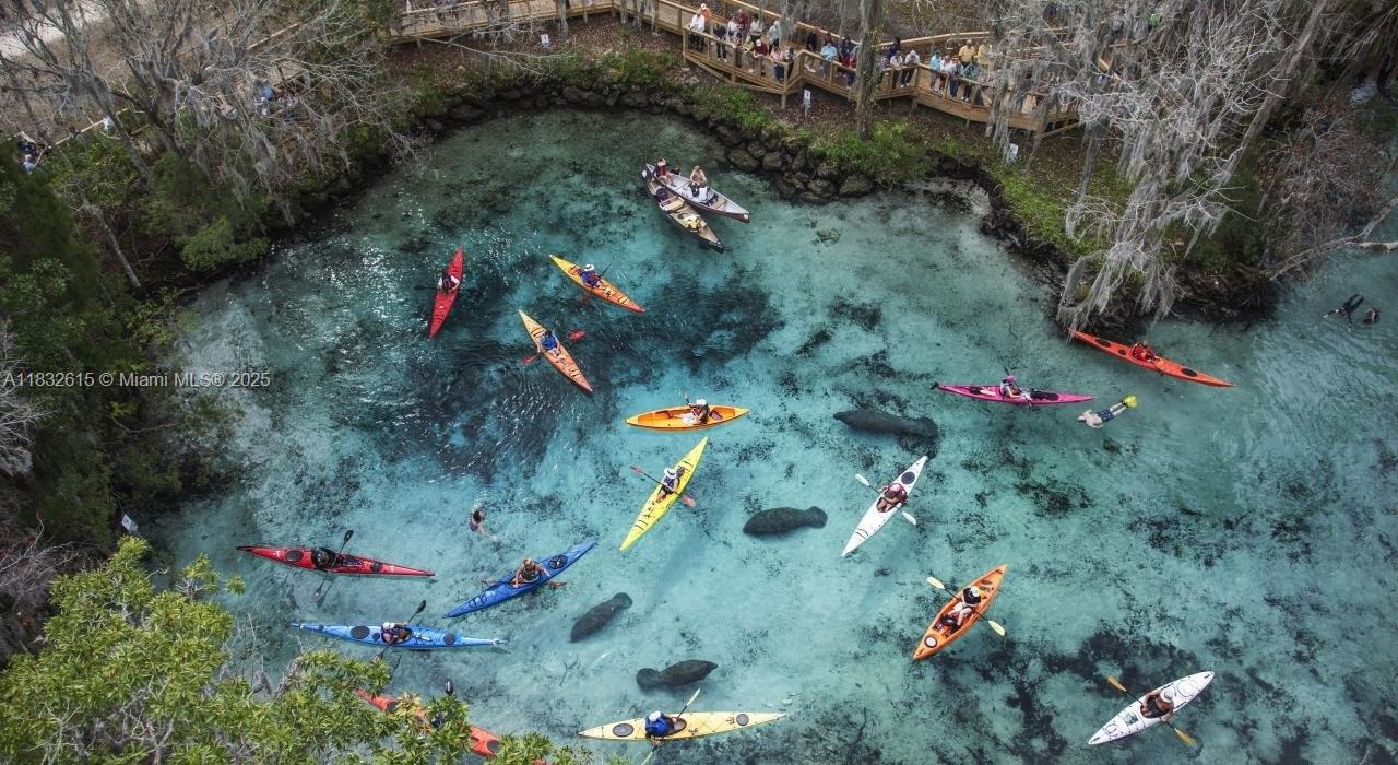 Citrus Springs - Land