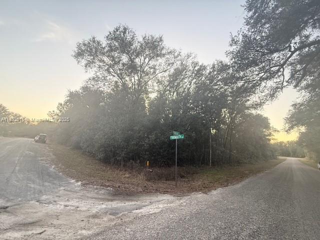 Citrus Springs - Land