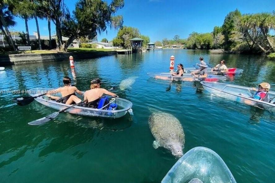 Citrus Springs - Land