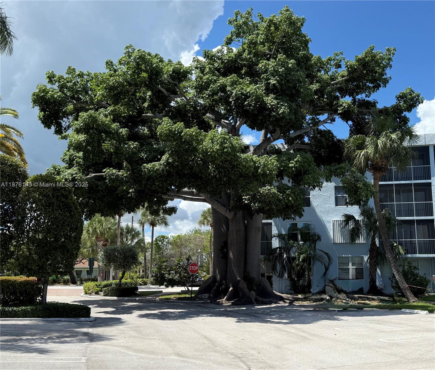 SEAGATE OF GULFSTREAM CON - Residential