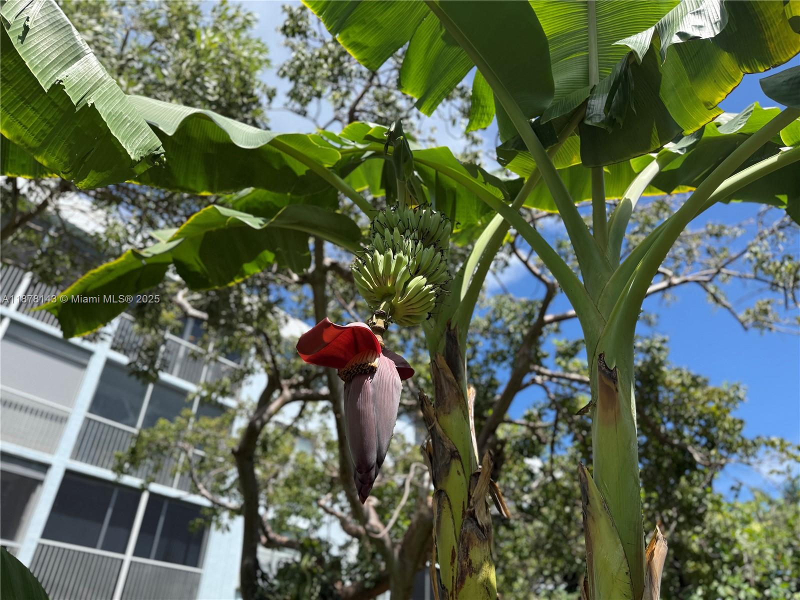 SEAGATE OF GULFSTREAM CON - Residential