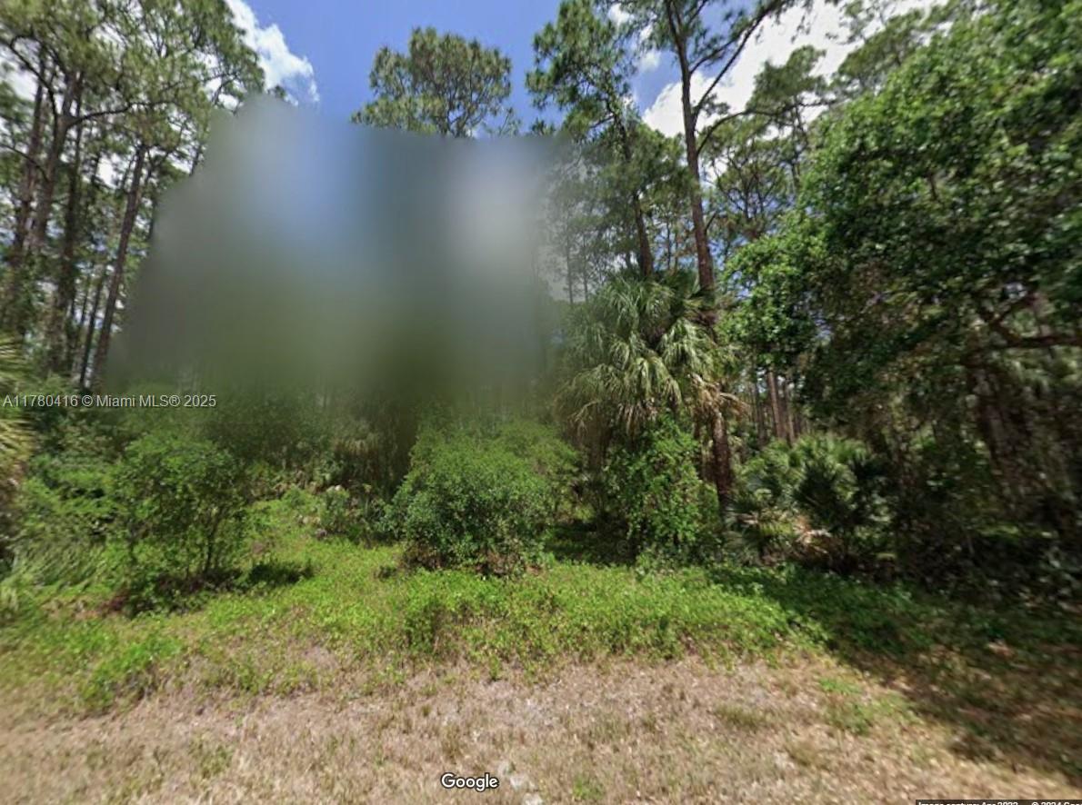 PORT CHARLOTTE SECTION 87 - Land