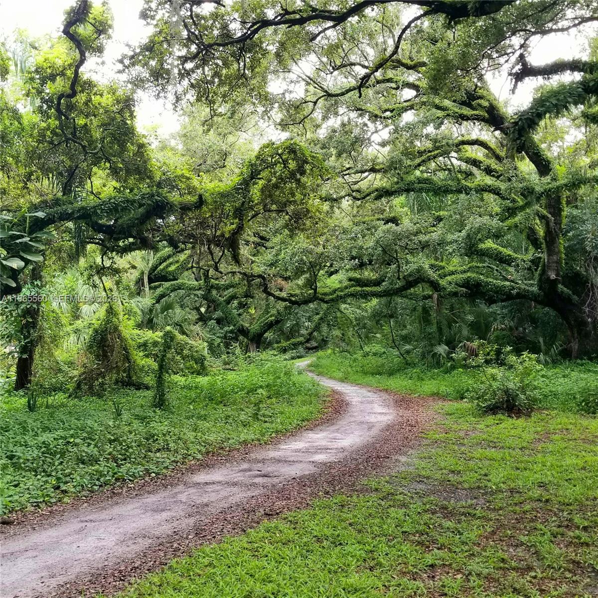 POINCIANA 7 OF PINE ISLAND - Residential Lease