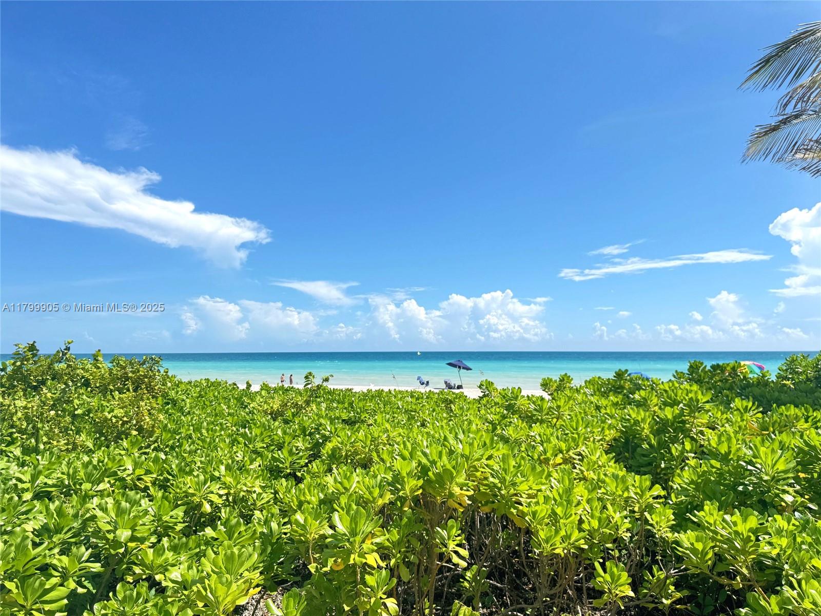 TAROMINA APTS CO-OP - Residential